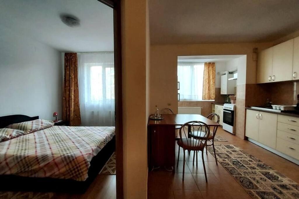 Floreşti Spacious Flat, With Free Parking & Air Conditioning מראה חיצוני תמונה
