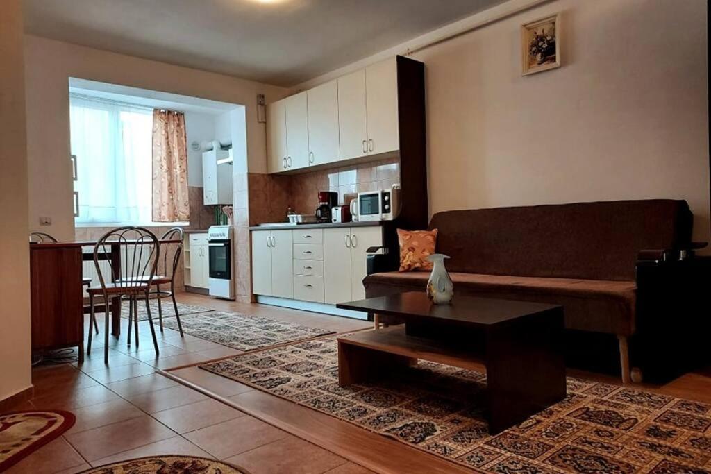 Floreşti Spacious Flat, With Free Parking & Air Conditioning מראה חיצוני תמונה