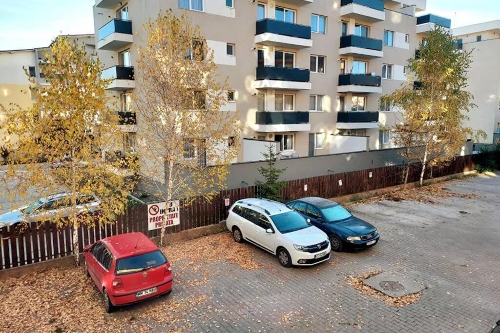 Floreşti Spacious Flat, With Free Parking & Air Conditioning מראה חיצוני תמונה